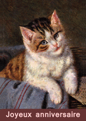 Un adorable chat pour un anniversaire m&eacute;morable